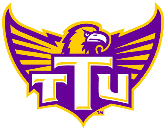 Tennessee Tech Golden Eagles 2006-Pres Alternate Logo DIY iron on transfer (heat transfer)